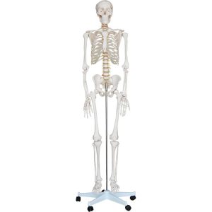 A10101