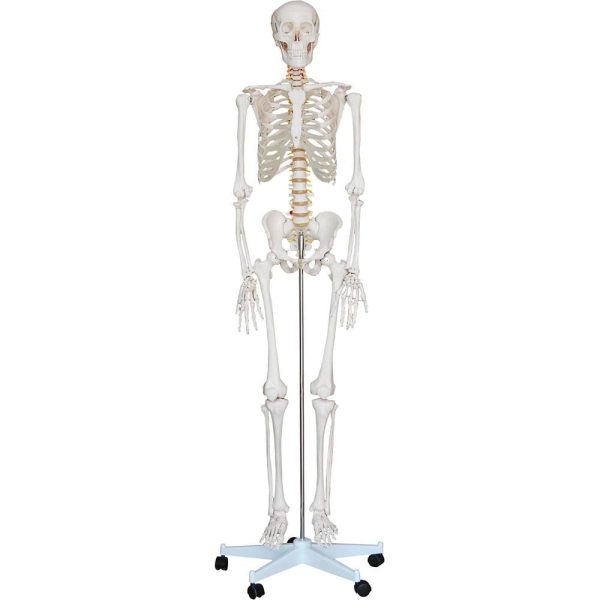 A10101