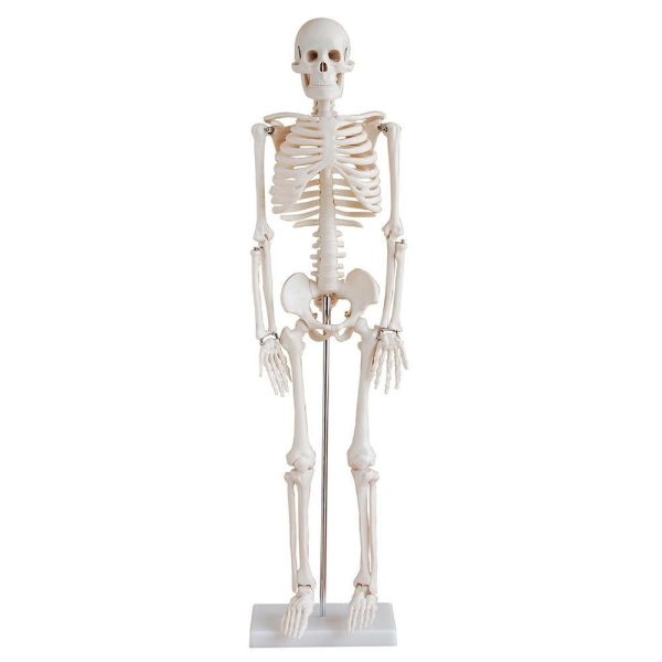 A10102