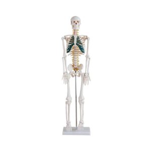 A10103