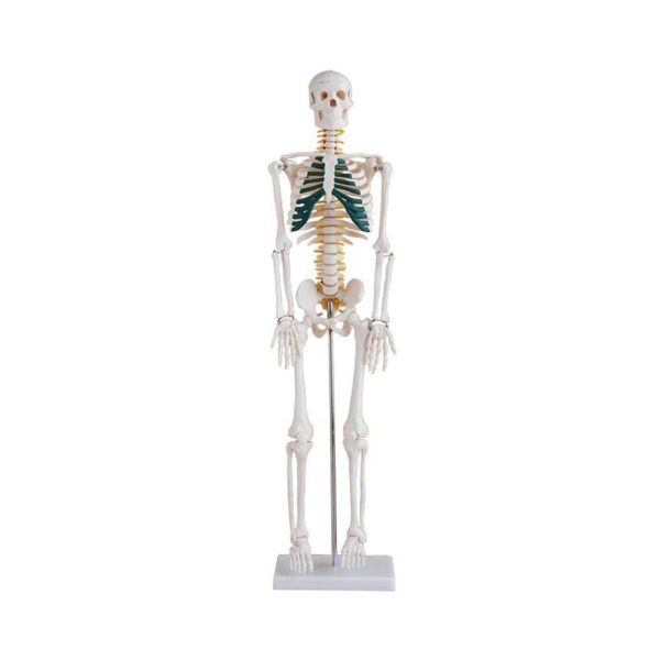 A10103