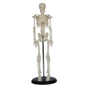 A10105