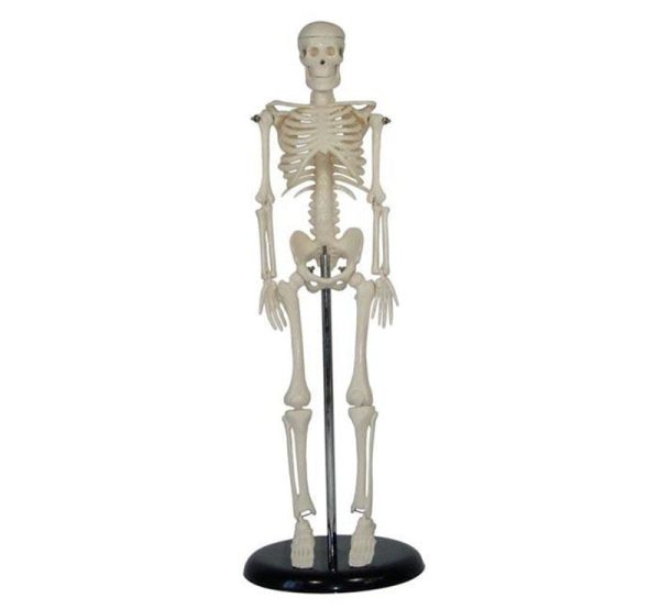 A10105
