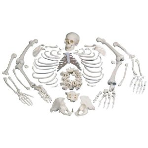 A10106