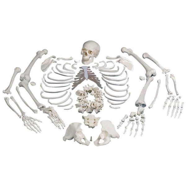 A10106