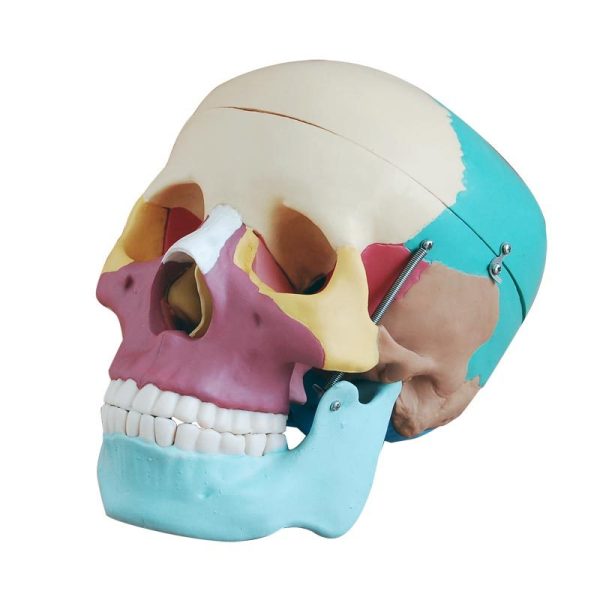 A10202