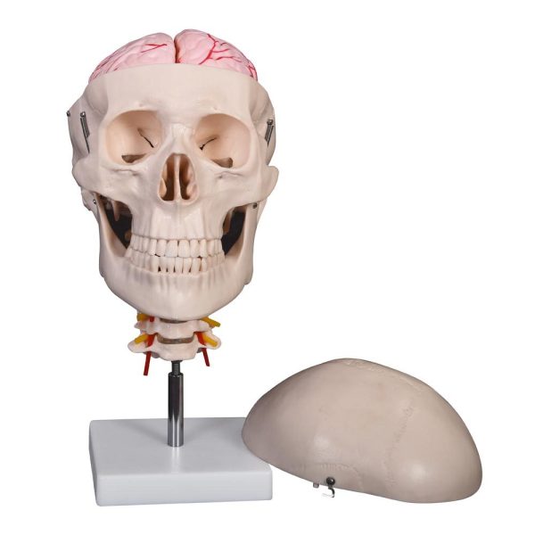 A10208