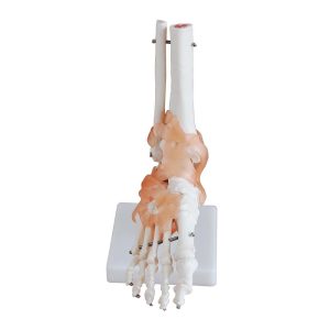 A10405