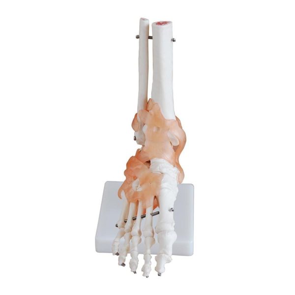 A10405