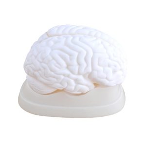 A30101