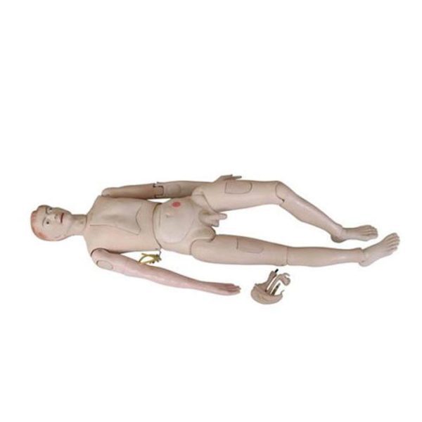 A40103 Anatomia 1 1