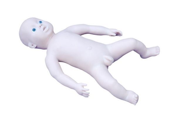 A40311 Anatomia 1
