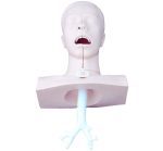 Suction Training Model - Image 2