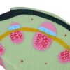 Dicot Stem Structure - Image 3
