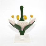 Flower Section Model - Image 3