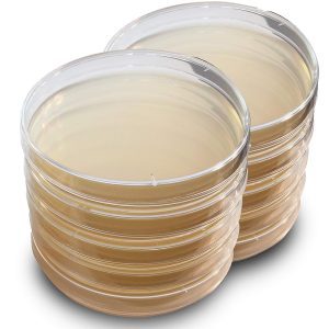 Hypet PCA