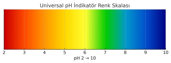 Universal Indicator Solution pH2-10 50 ml - Image 2