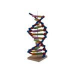 DNA Model Experiment Set - Image 3