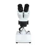 Microscope Binoculer Stereo - Image 3