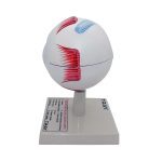 Human Eye Model - Image 3