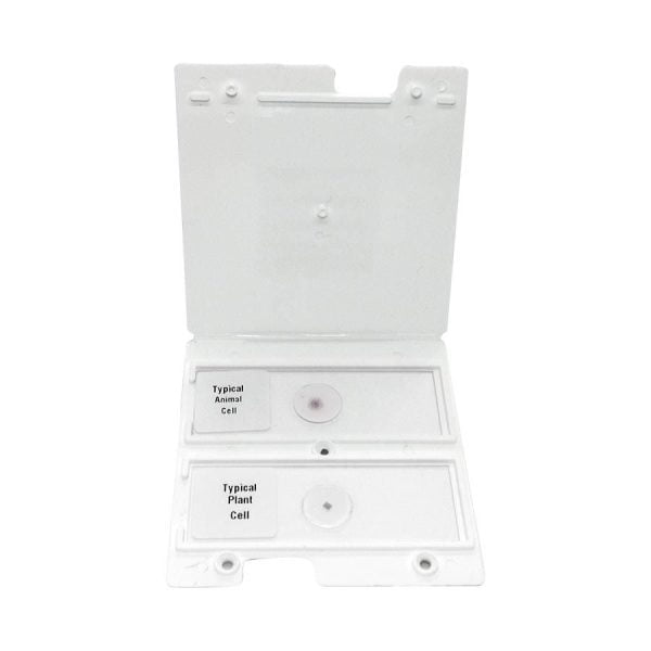 OF.0477 TRAY 2