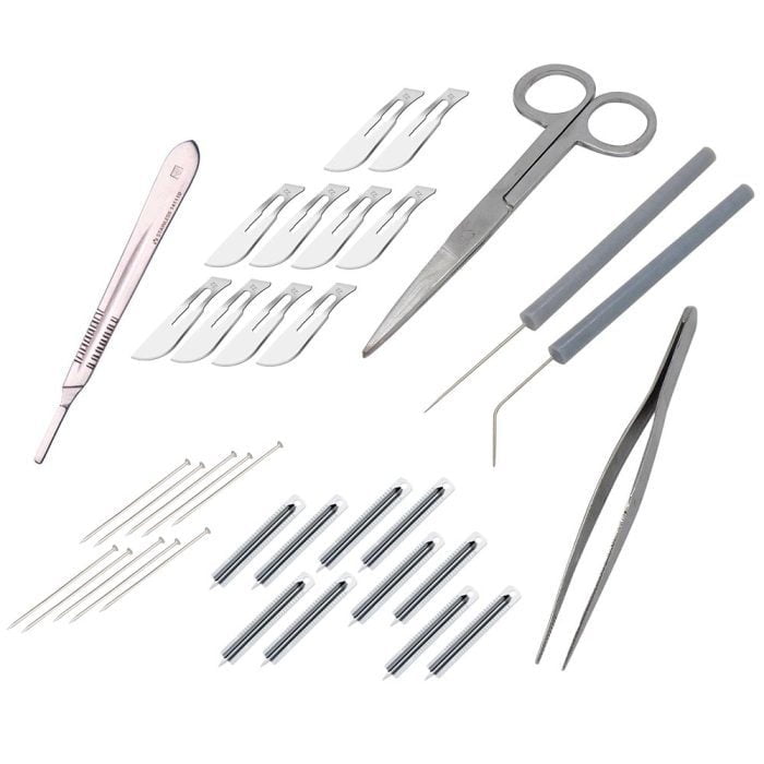 Solar System Planetarium Model