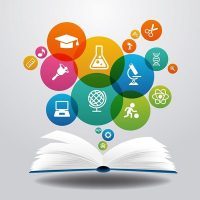 curriculum curriculum